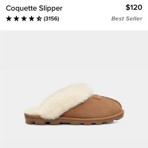 Brand new chestnut coquette uggs size 8.